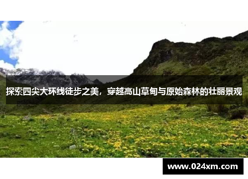 探索四尖大环线徒步之美，穿越高山草甸与原始森林的壮丽景观
